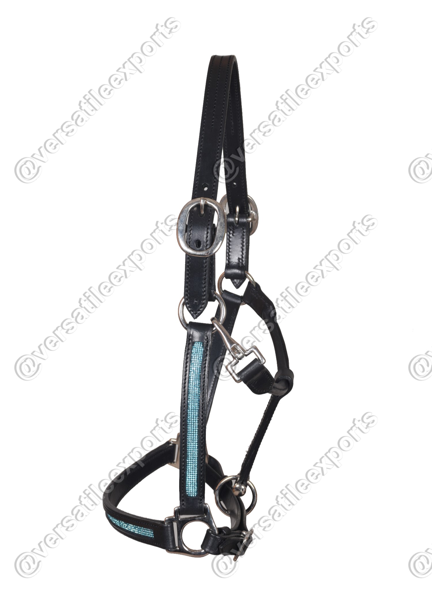 Halter Shiny